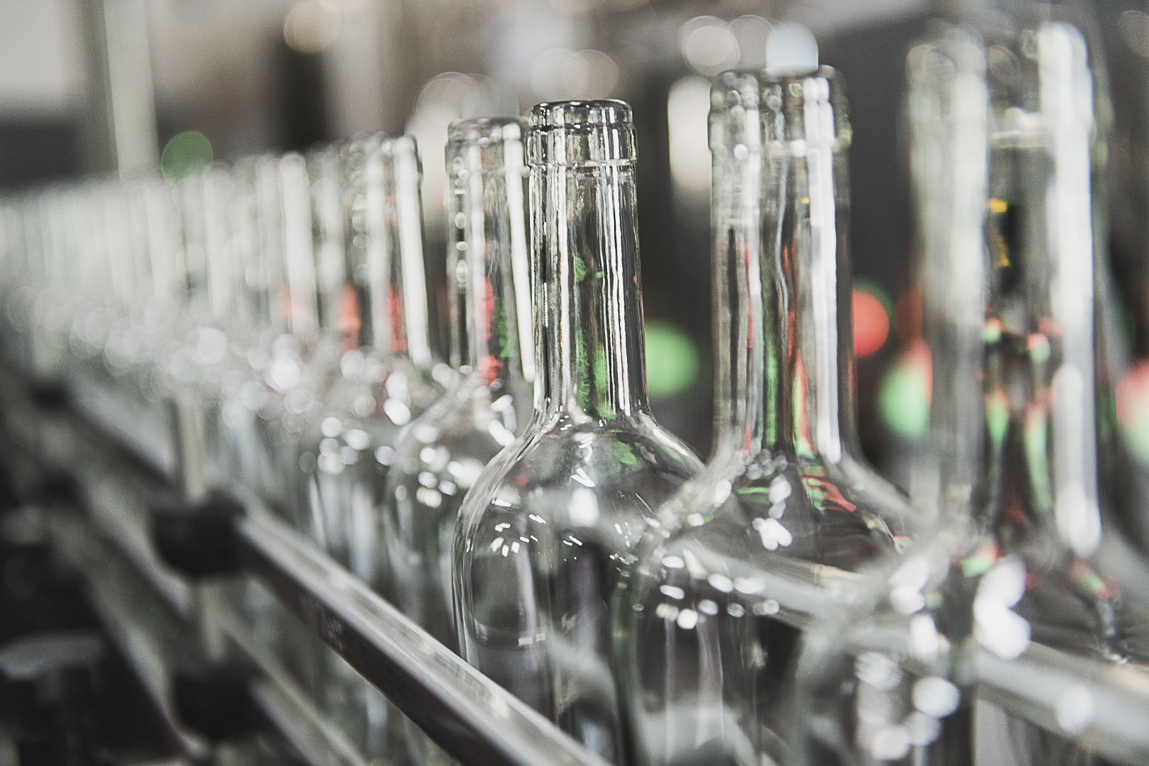 DOM_8228PaoloLeo©AlessandraTommasi2019