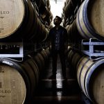 DOM_8429paololeo©whiroo2019