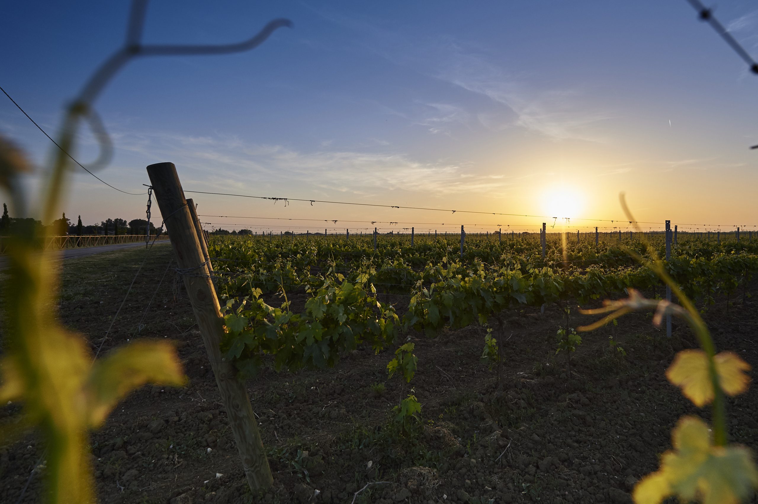 Lu Spada Tramonto & Vini 31
