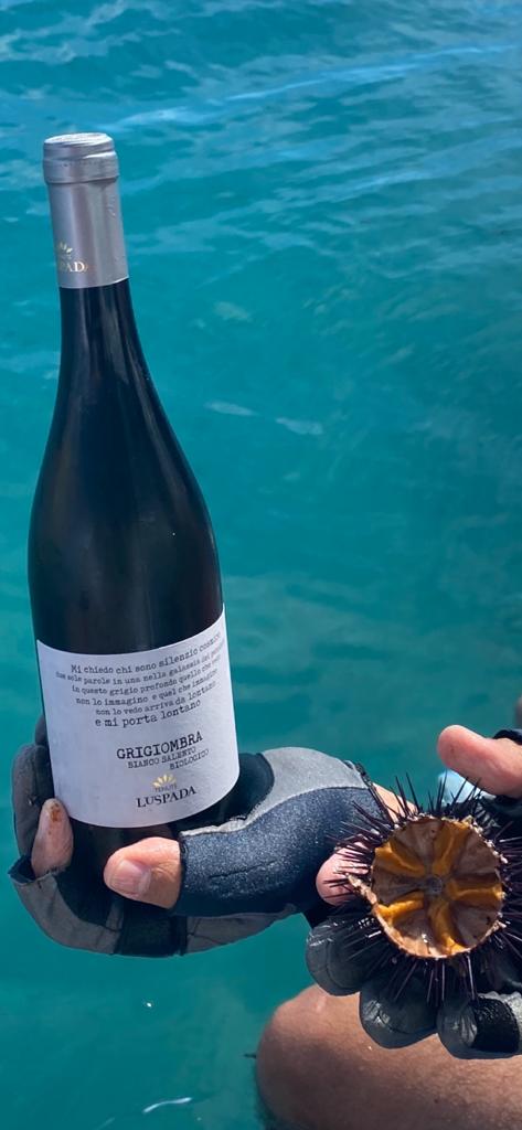 WhatsApp Image 2023-07-25 at 14.15.51 (1)