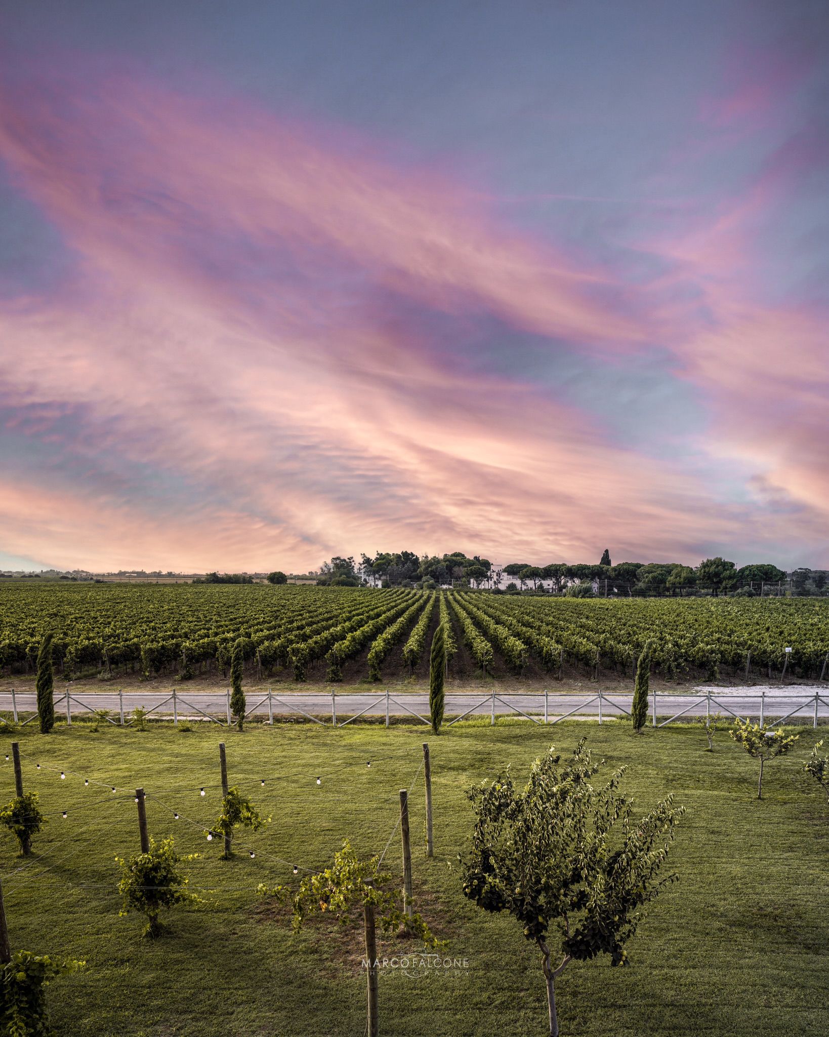 WhatsApp Image 2023-08-29 at 09.42.12 (2)