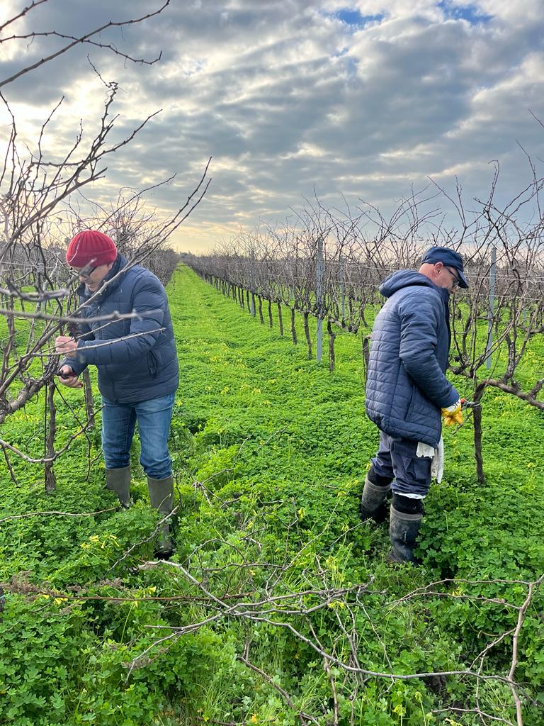 WhatsApp Image 2024-01-10 at 09.37.38 (1)