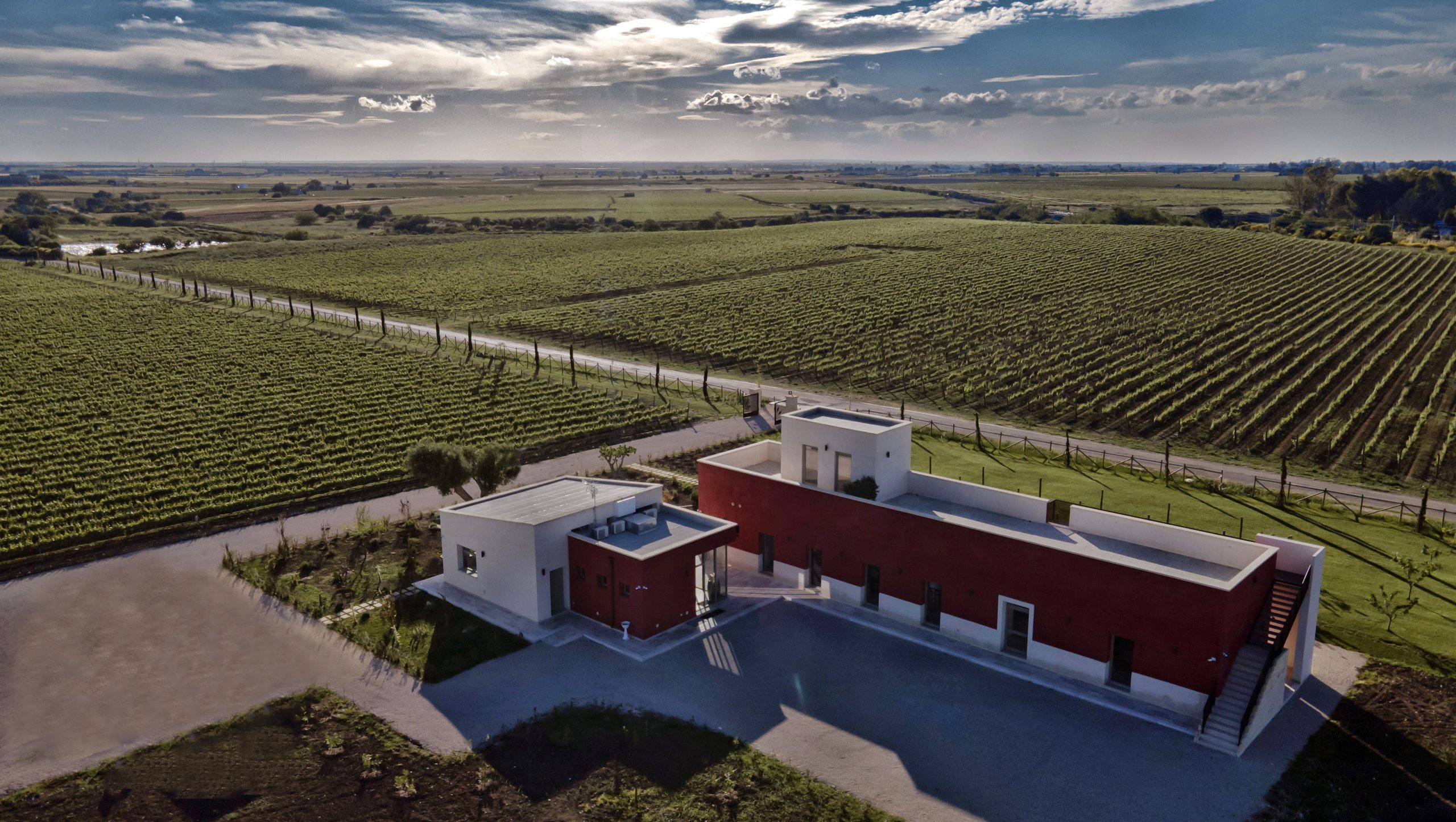 foto tenuta e vigneti